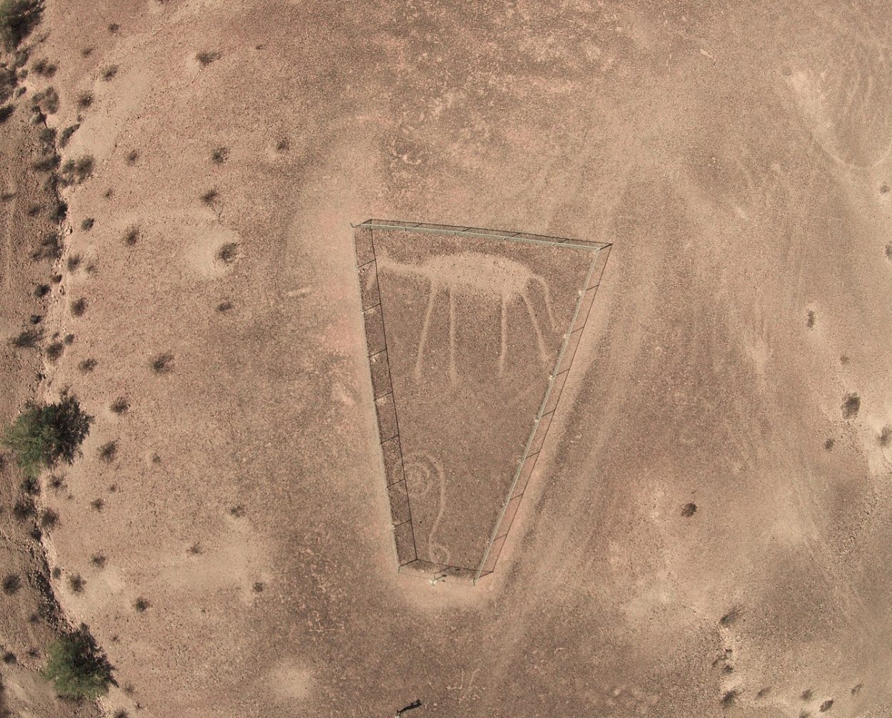 the giant blythe intaglios desert geoglyphs