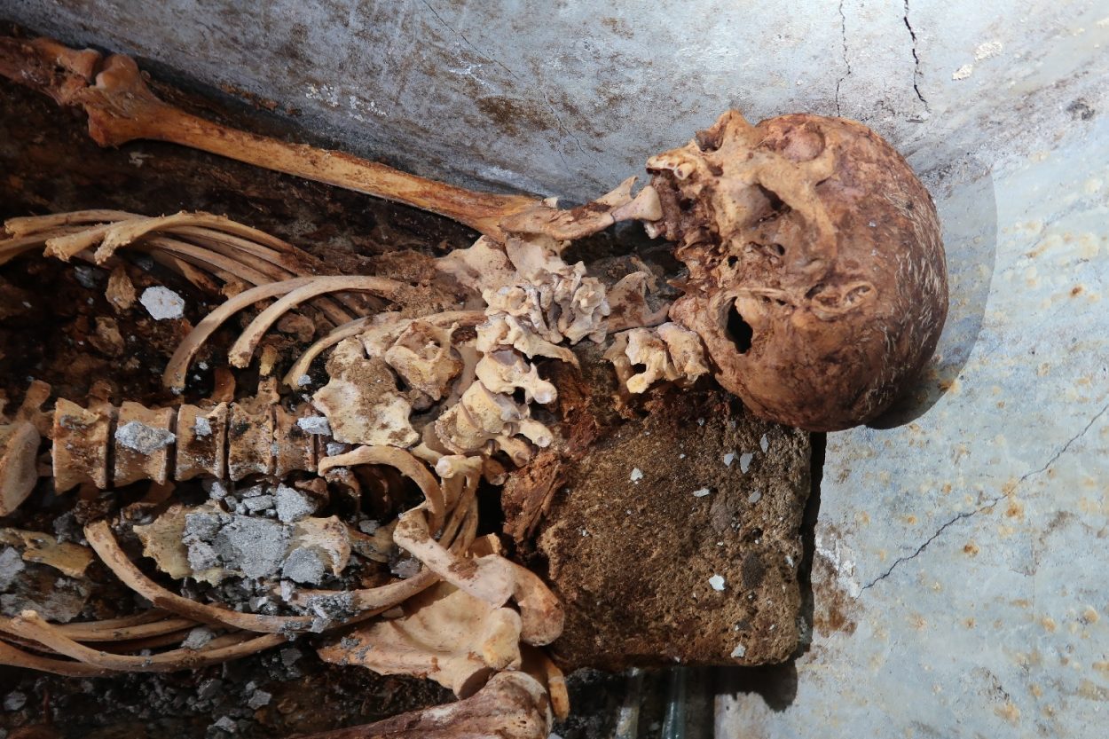 tomb containing mummified remains uncovered at pompeii