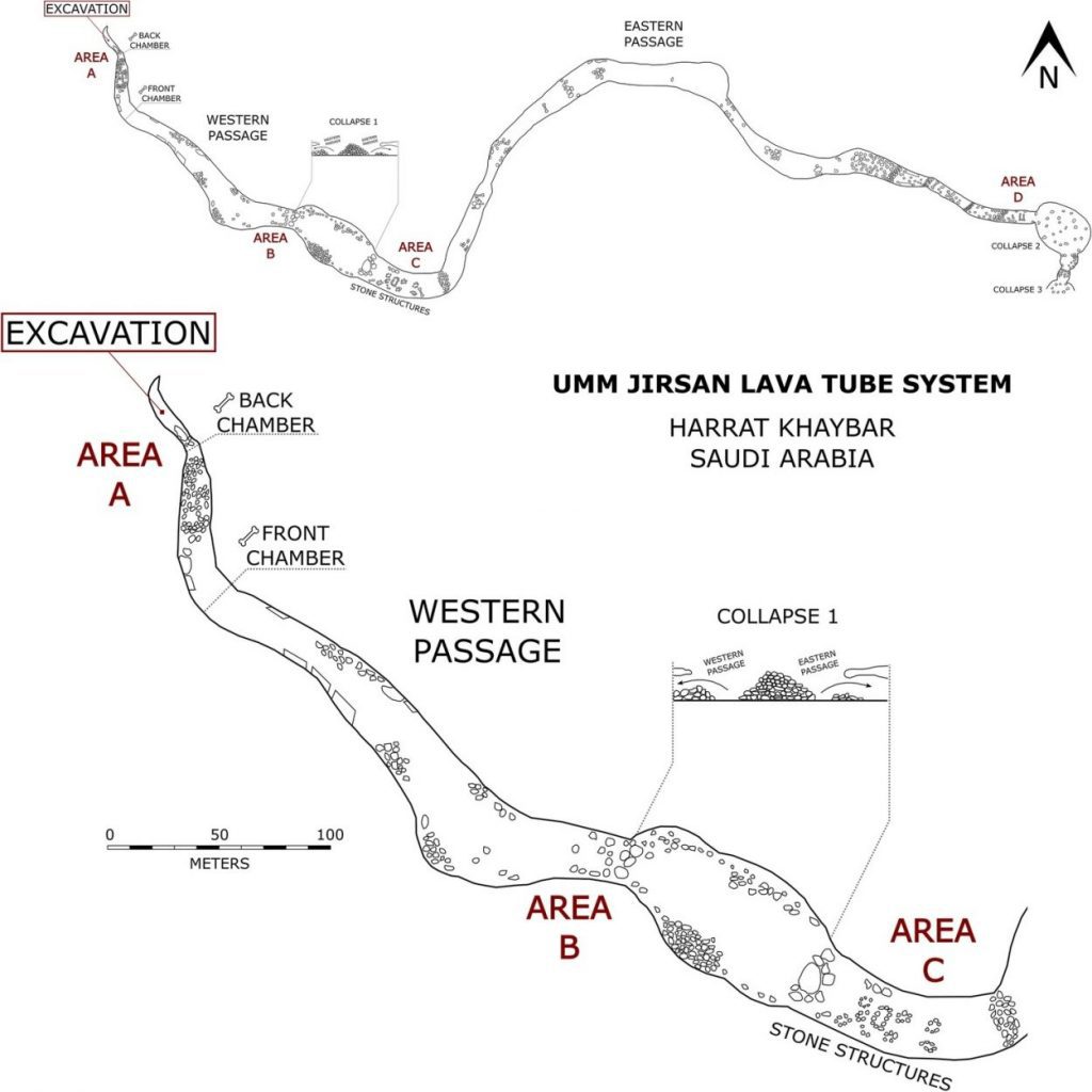 thousands of human and animal bones hoarded by hyenas in lava tube system