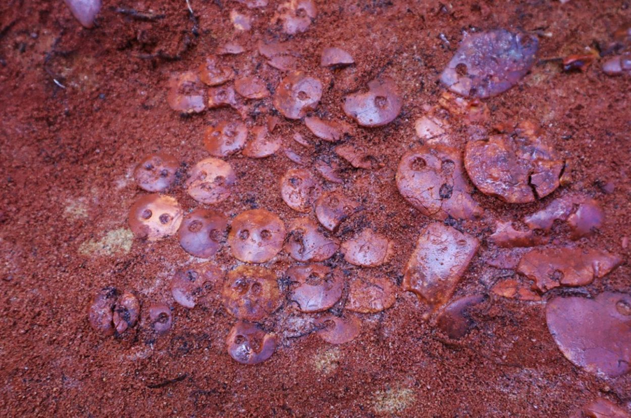 discovery of “unique” burial containing 140 pieces of amber jewellery rus2 1