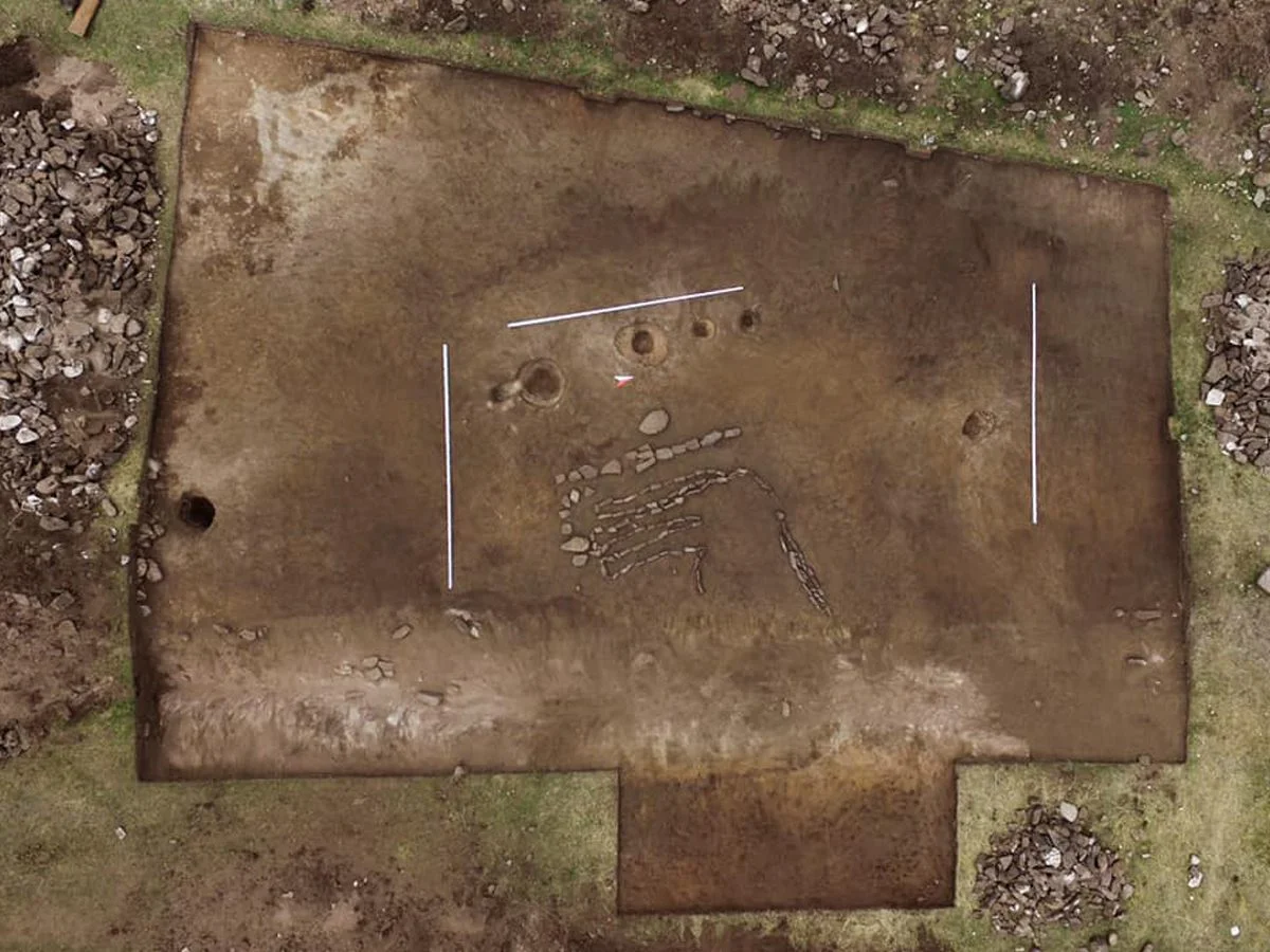 bull geoglyph discovered in southern siberia bull2