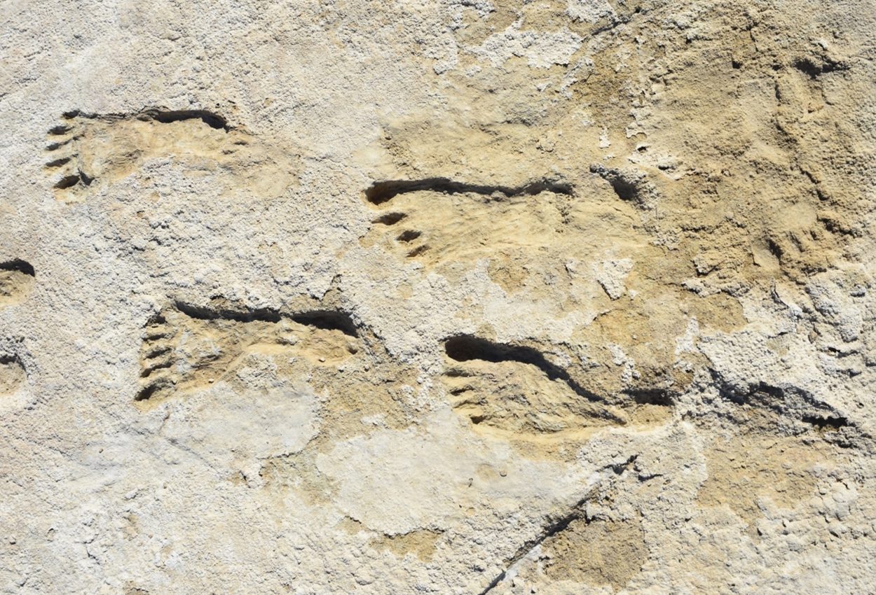 archaeologists find oldest known human footprints in the americas white