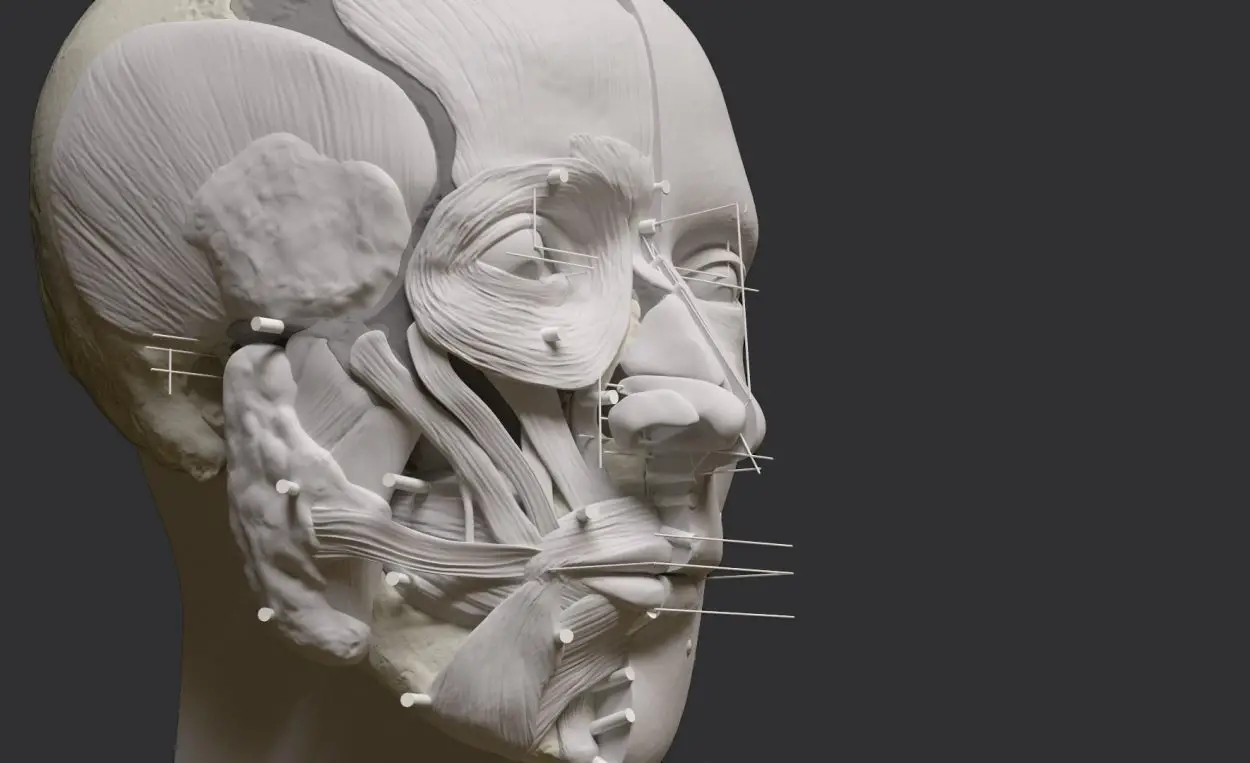 facial1