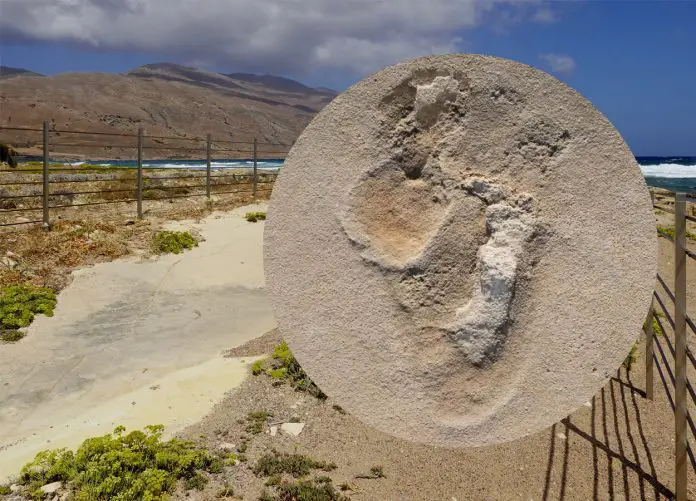 oldest known footprints of pre-humans identified in crete foot1