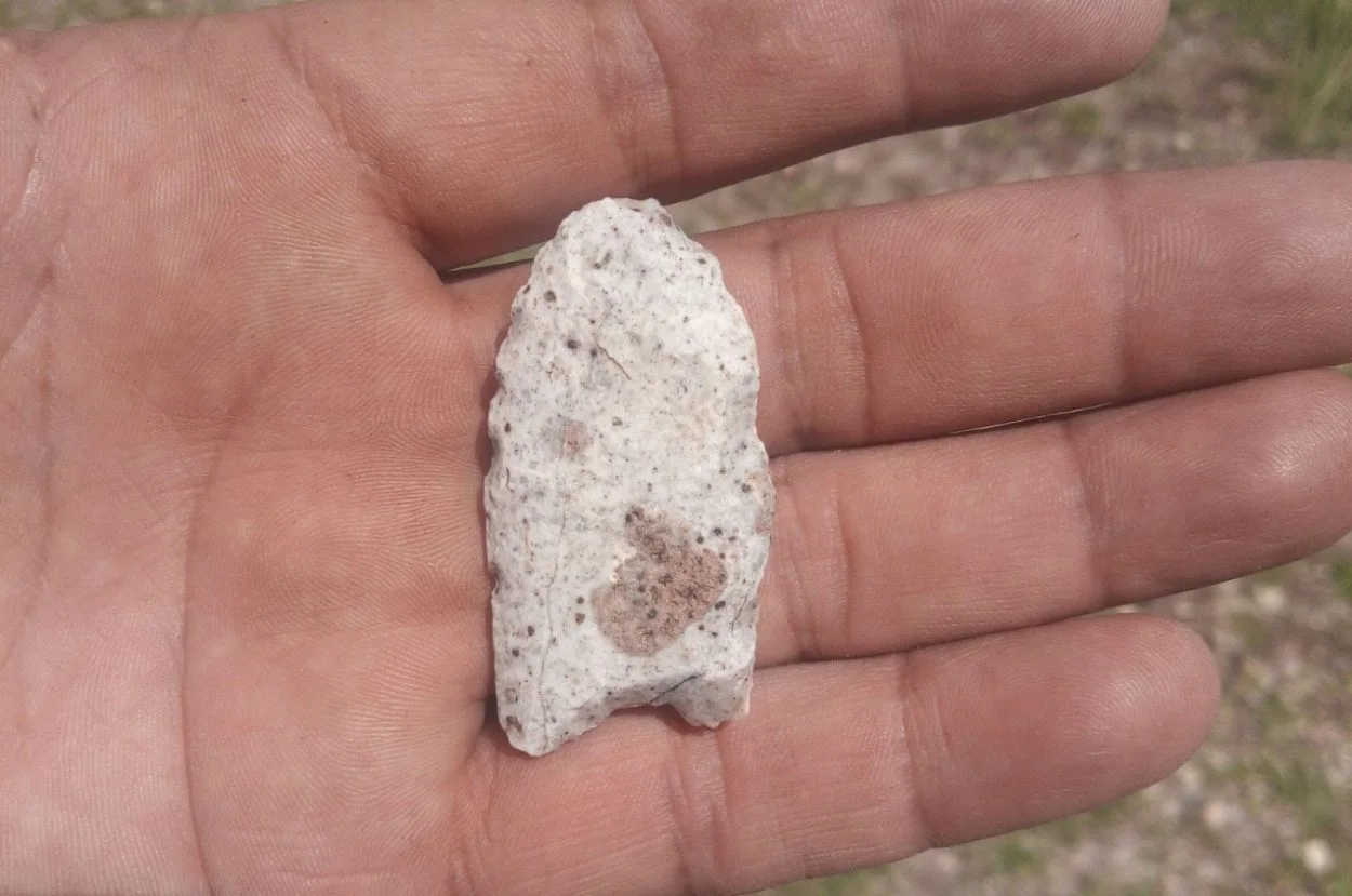 CLOVIS1