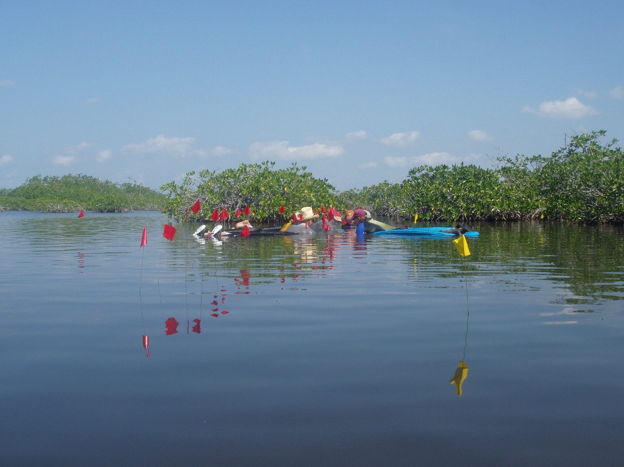 archaeologists discover submerged dwellings of maya salt workers salt2