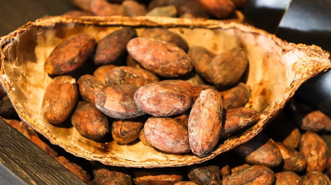 cacao g08ecf6776 1920