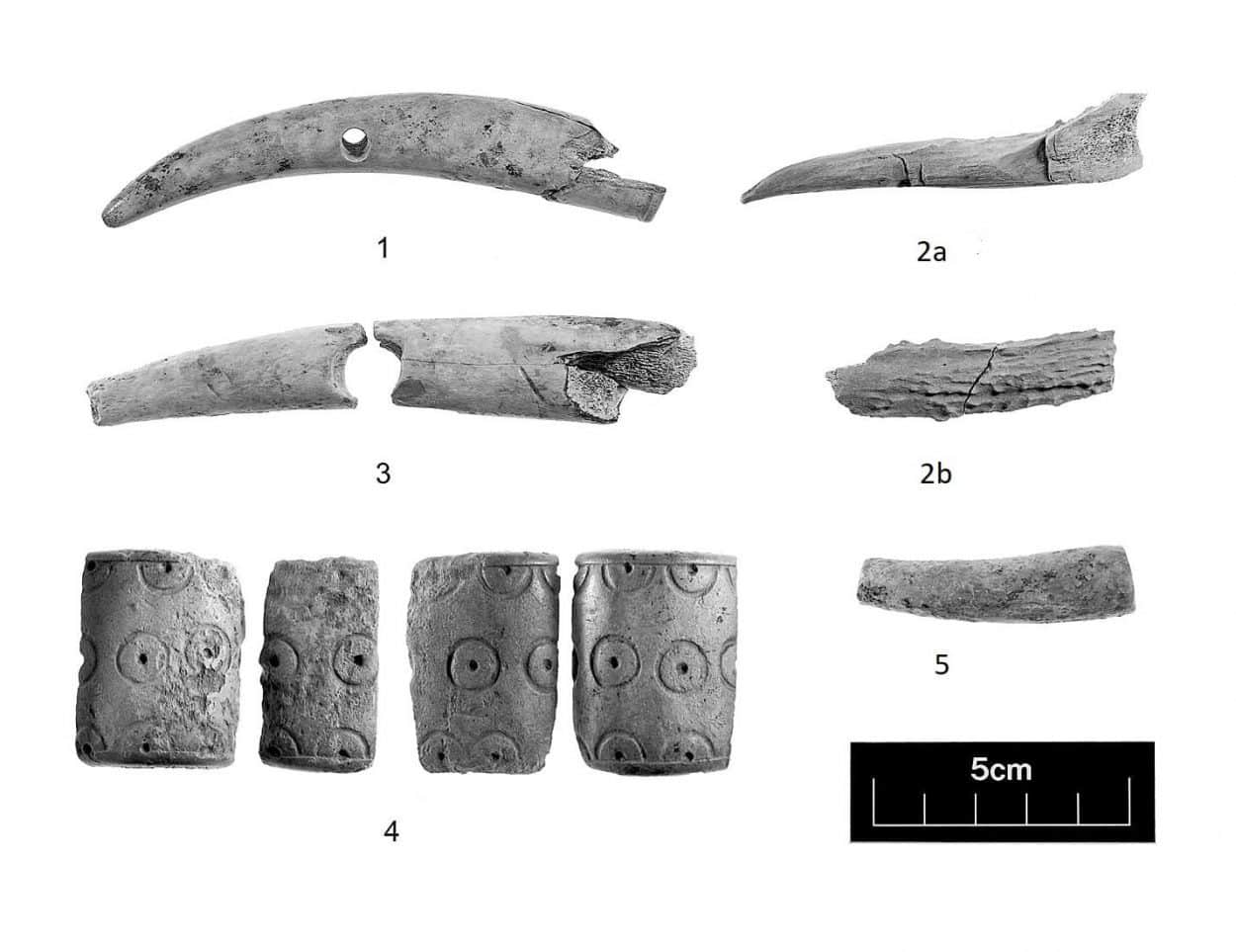 archaeologists excavate iron age settlement with sacrificial dog burials poulton2