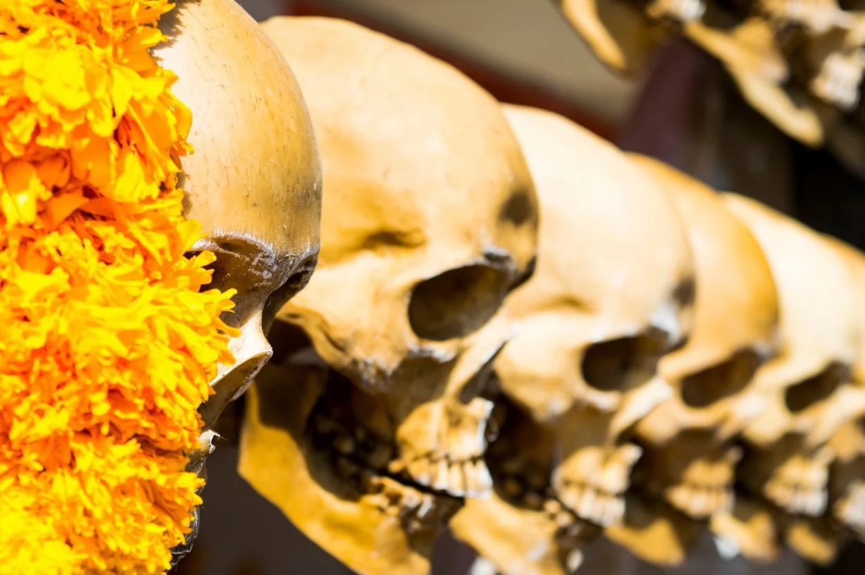 SKULL1