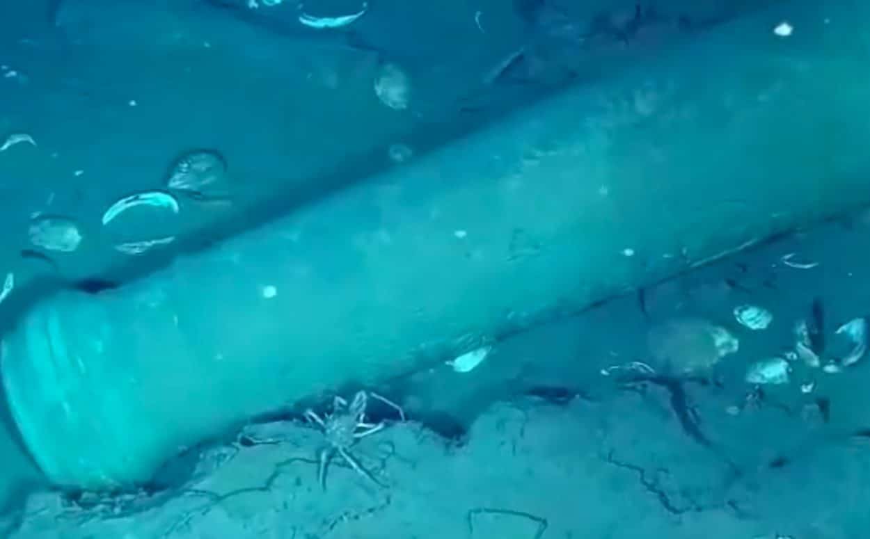 images of the san josé treasure galleon revealed sanjose3