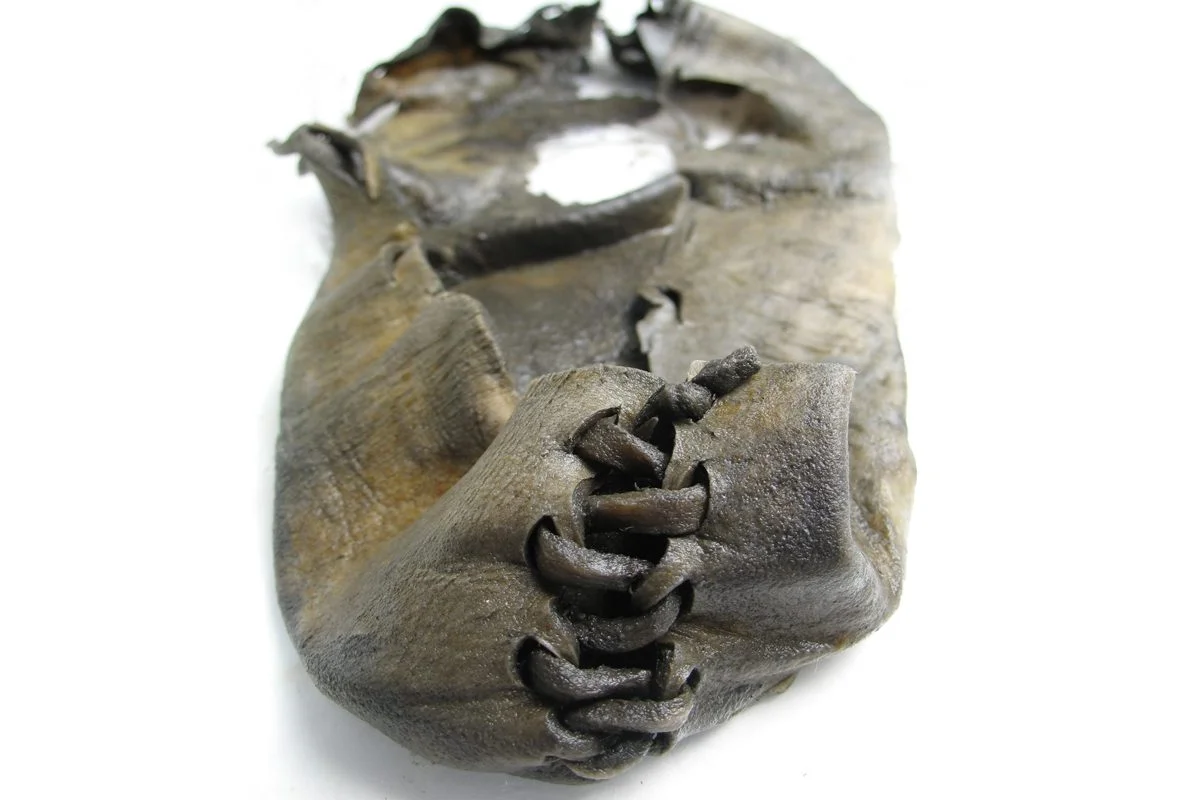 climate change reveals archaeological treasures in melting ice iceage2