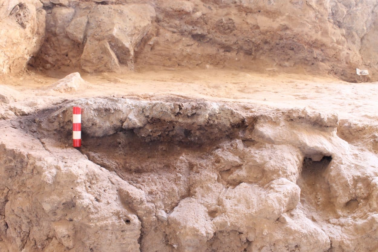 Oldest charred food remains reveals ancient paleo cooking techniques – HeritageDaily
