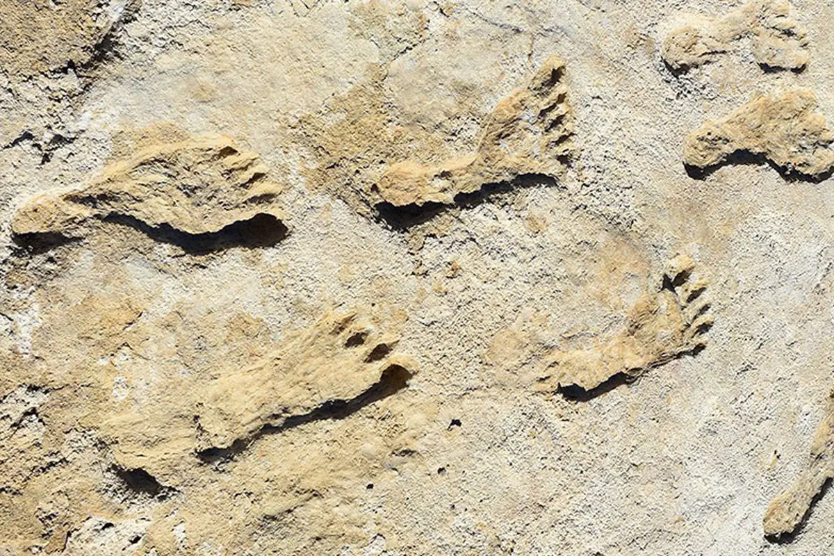 foot1