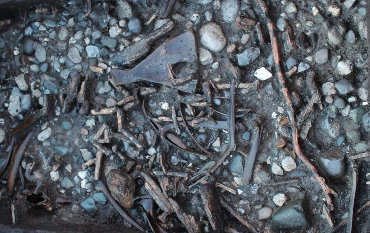 preserved 10,500-year-old stone age hunter-gatherer settlement discovered ches3