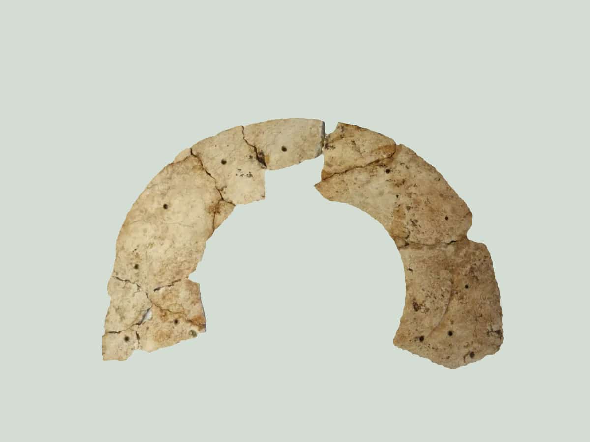 pit1a
