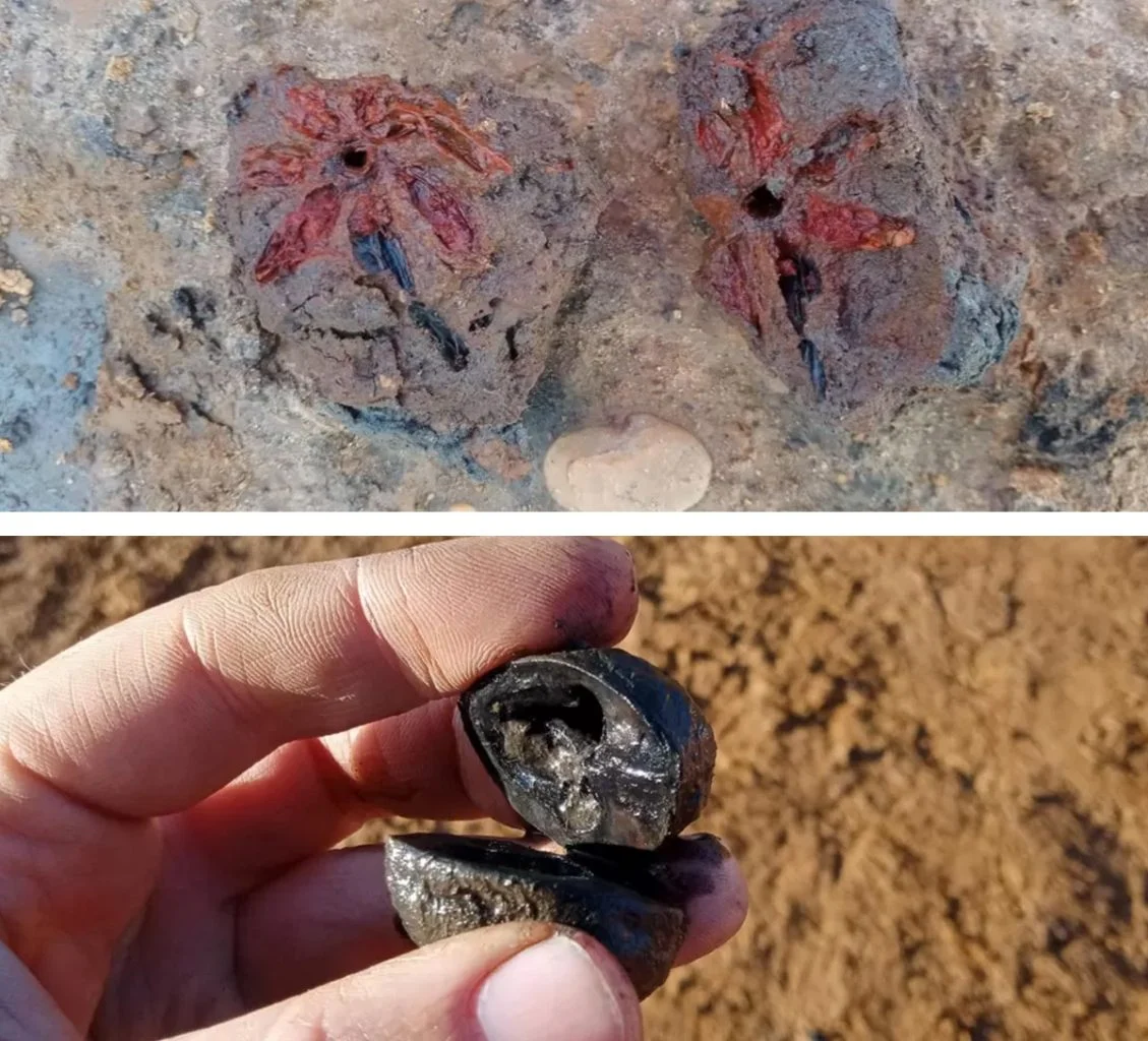 roman ritual centre found near northampton sprin1