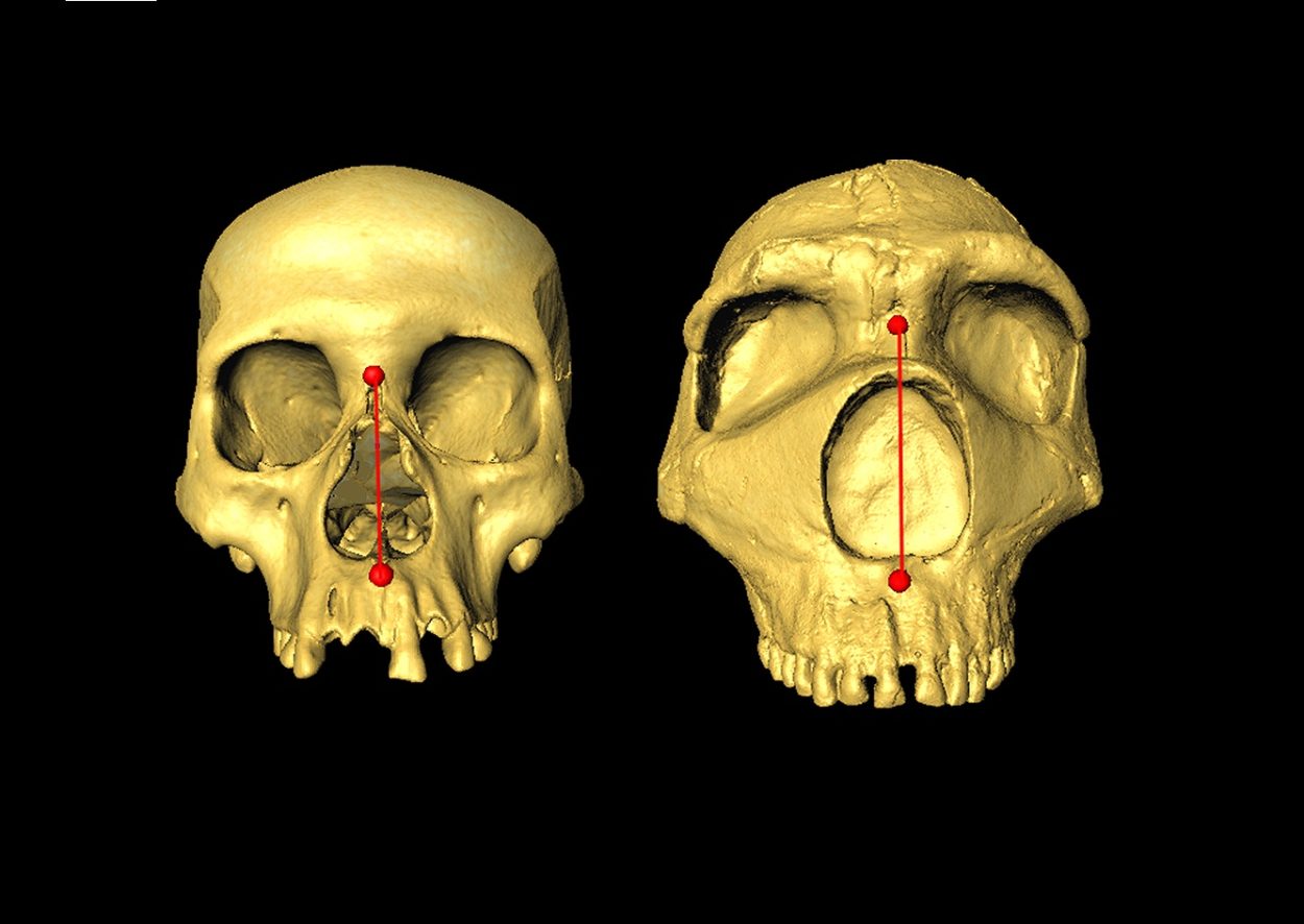 Image Credit : Dr Kaustubh Adhikari, UCL