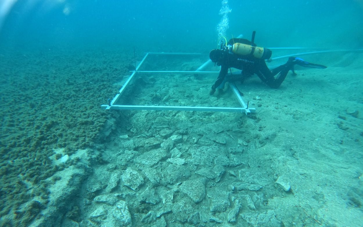 Archaeologists discover submerged road from the Neolithic period