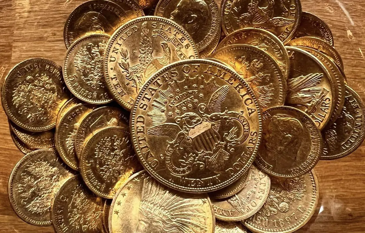 Treasure hoard of American and Russian gold coins found in Polish forest