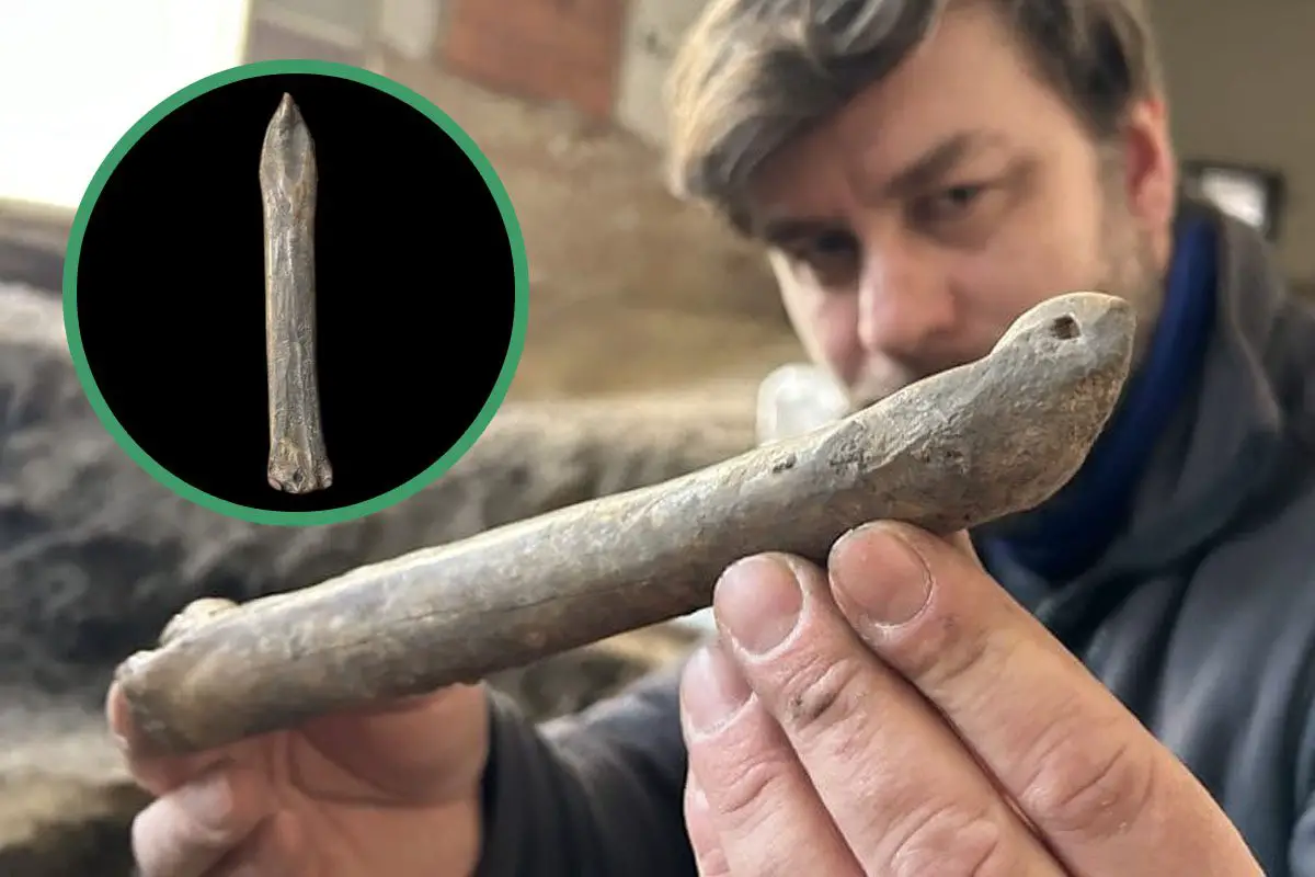 1,000-year-old bone skate found in Přerov