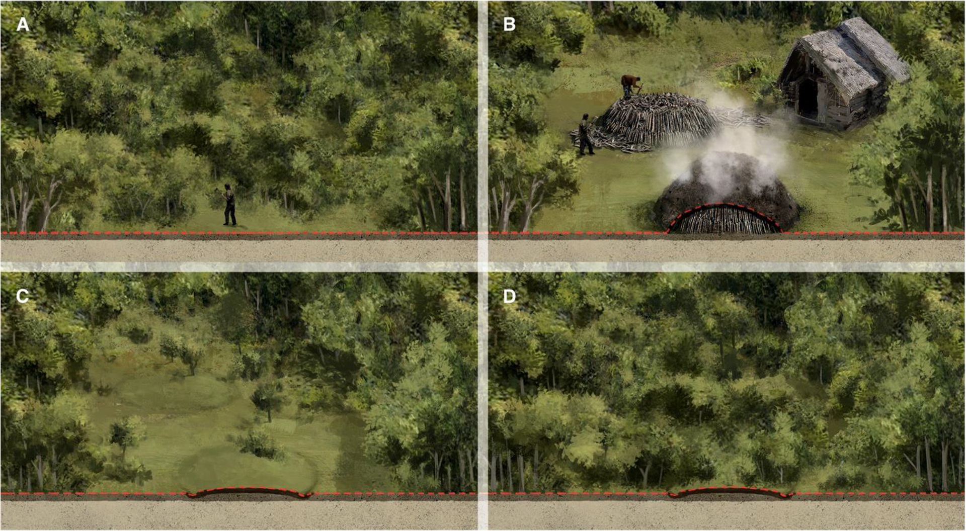 Study finds over 630,000 ancient charcoal kilns in Poland