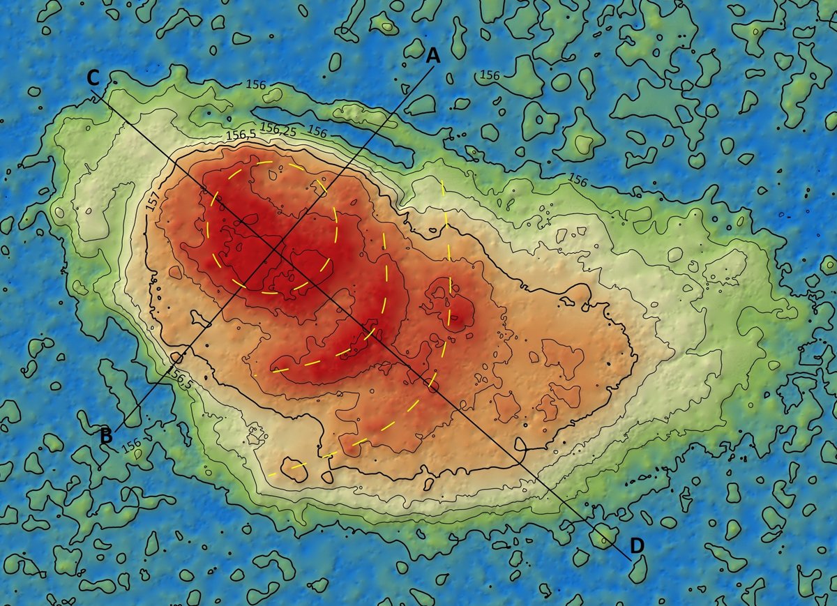 Lost medieval stronghold discovered in Włodawa Forest